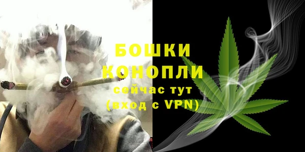 дживик Горнозаводск